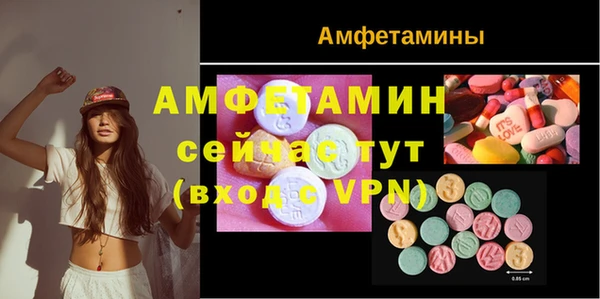 твердый Мегион