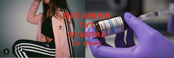 твердый Мегион