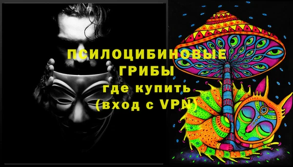 прущие грибы Абинск
