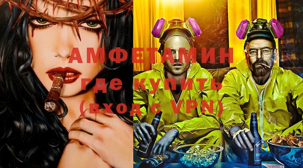 прущие грибы Абинск