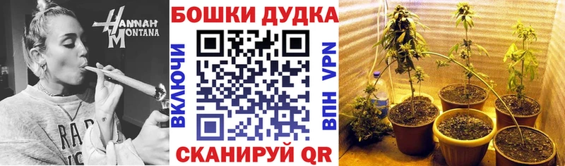 hydra зеркало  Ленинградская  Каннабис OG Kush 